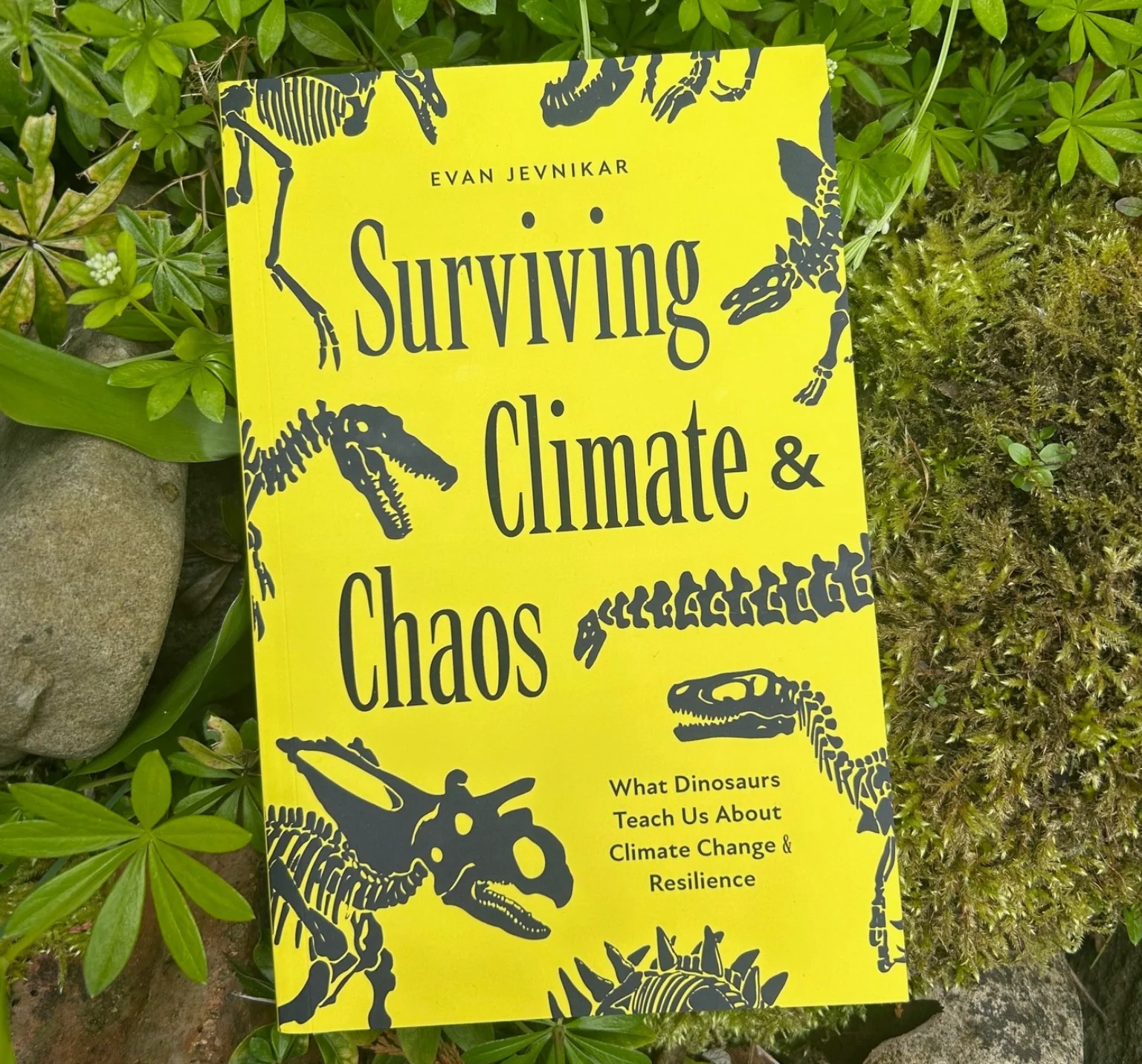 Surviving Climate and Chaos by Evan Jevnikar